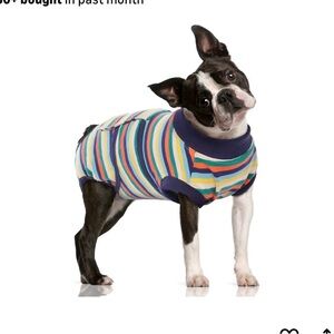 Striped Dog surgical suit